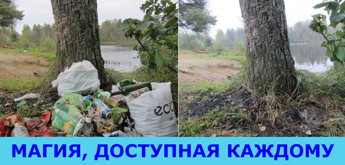 О чистоте не только внешней