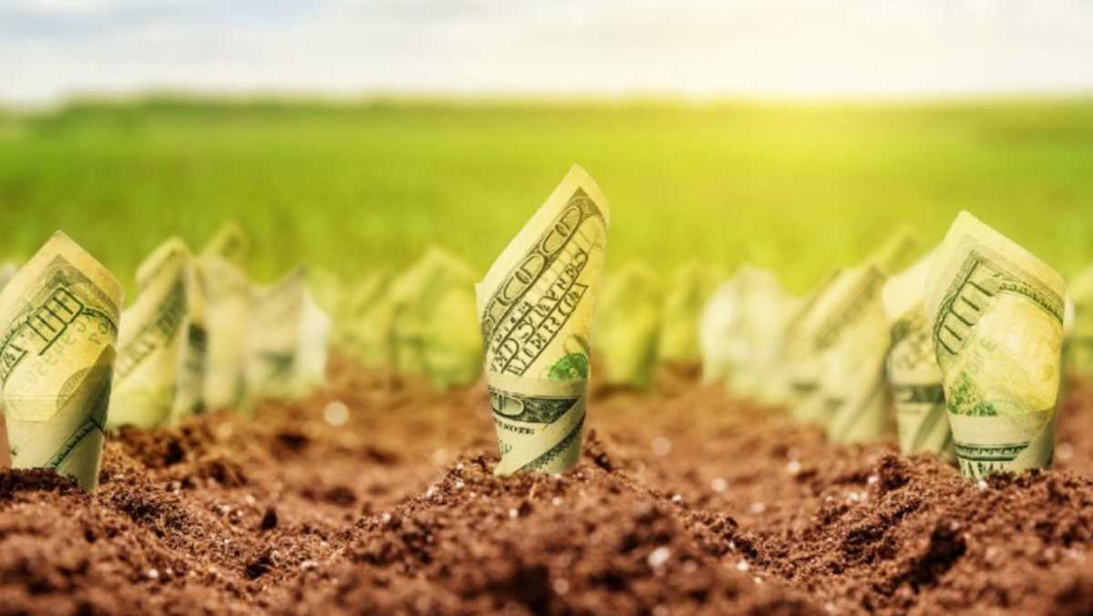 Рынок земли Украины