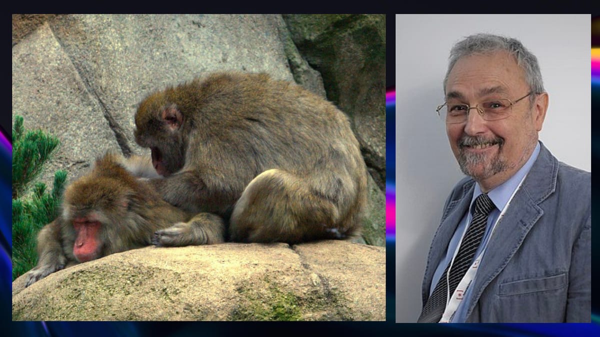 Число Данбара