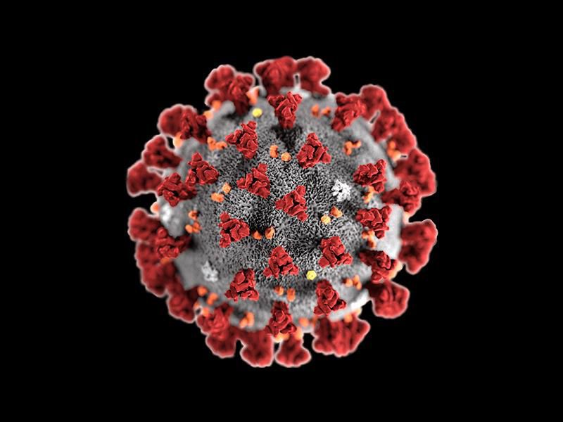 Coronavirus 2019-nCoV Global Cases and News / Новости эпидемии коронавируса