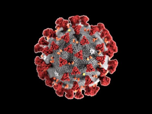 Coronavirus 2019-nCoV Global Cases and News / Новости эпидемии коронавируса