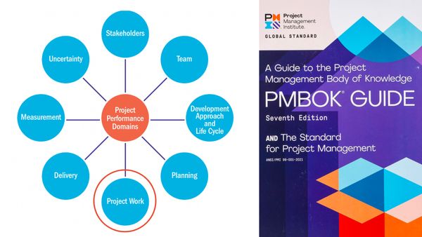 Сфера виконання "Проектна робота" (2.5 Project Work Performance Domain)